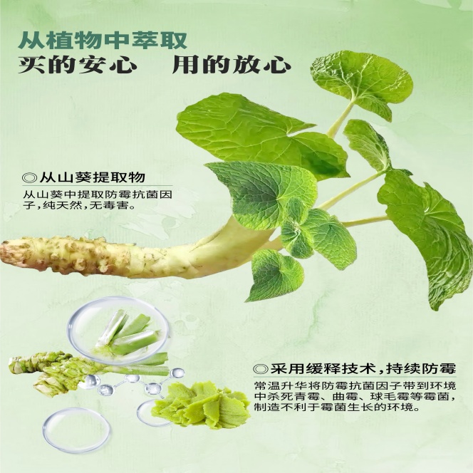iHeir强效防霉除臭片 Power Pak（俄语地区专用版）