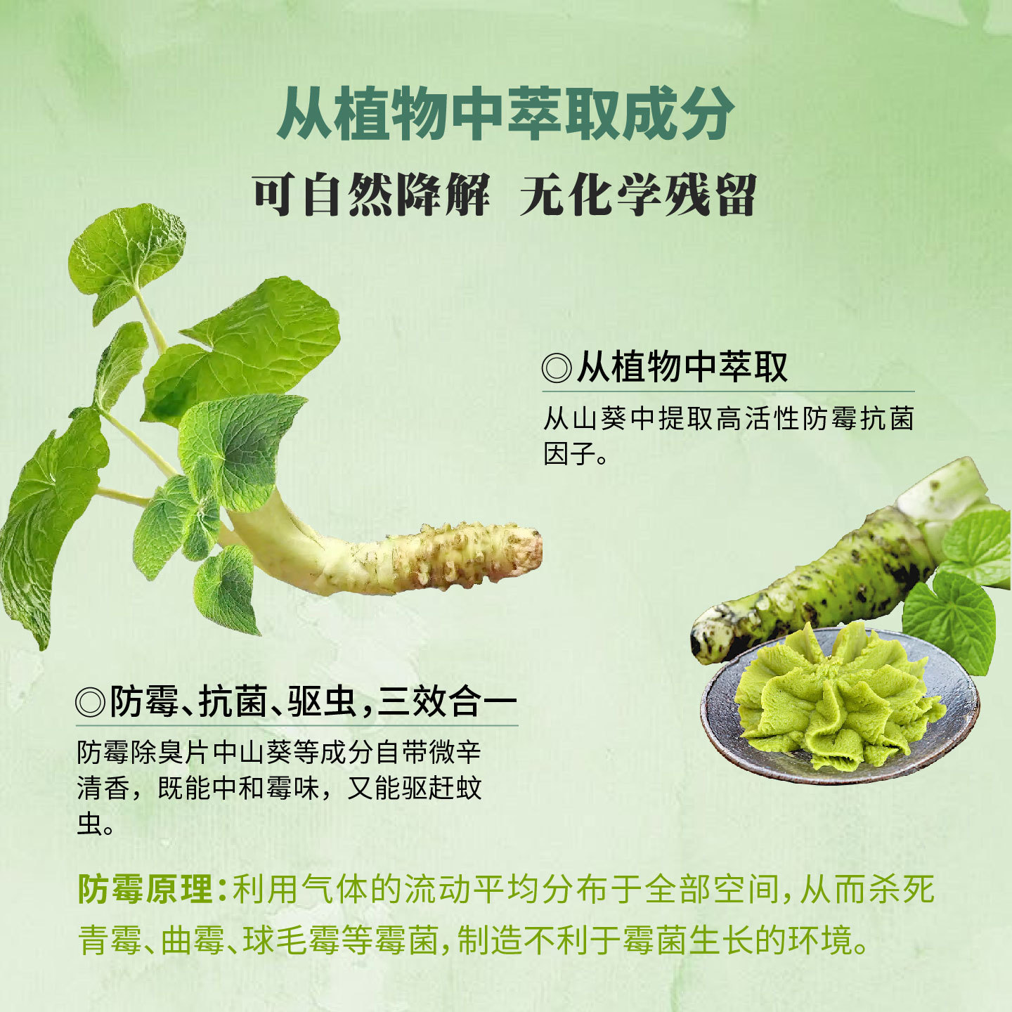 iHeir高效防霉除臭片|鞋服箱包餐厨竹木制品通用