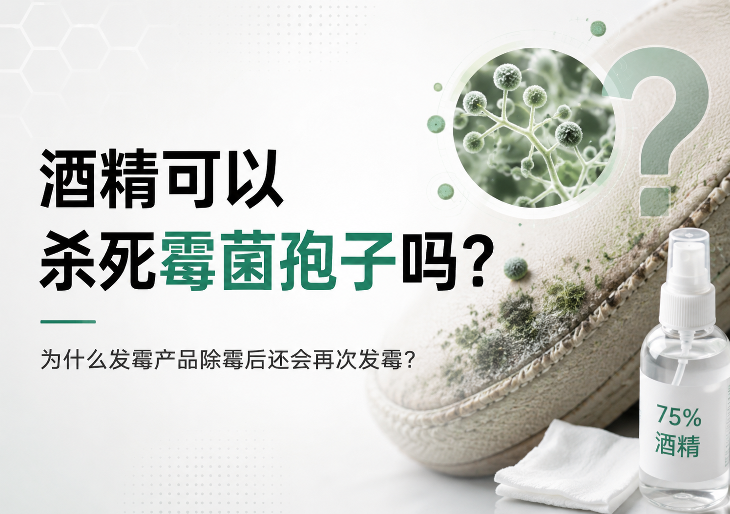 酒精可以杀死霉菌孢子吗？为什么发霉的产品除霉后还会再次发霉？
